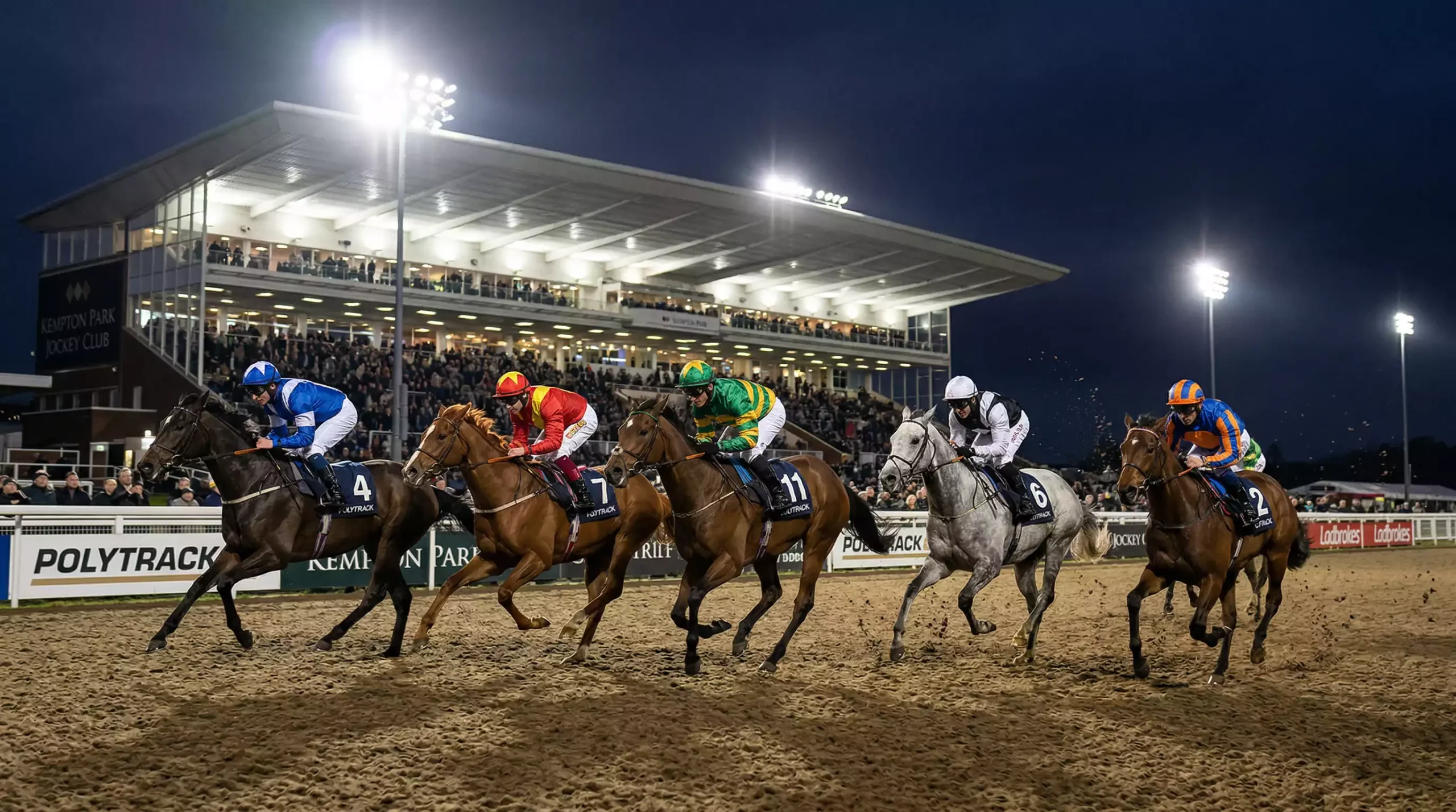 Horses racing under floodlights on an all-weather Polytrack surface at a UK racecourse
