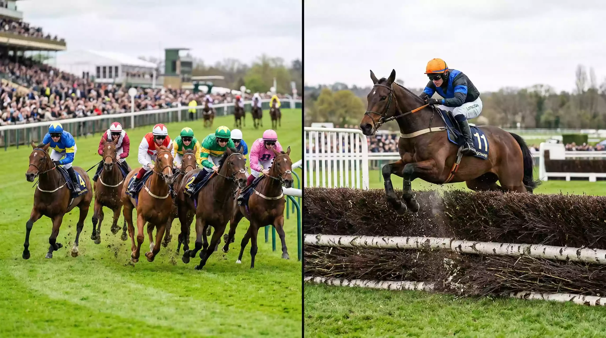 Split scene showing a flat race on turf and a National Hunt horse jumping a fence