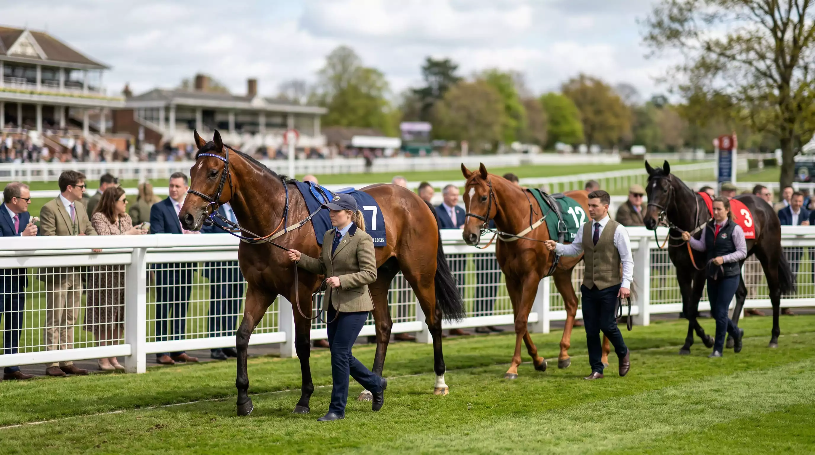 Racegoers and trainers assessing thoroughbred horses walking in the parade ring before a race at a British racecourse