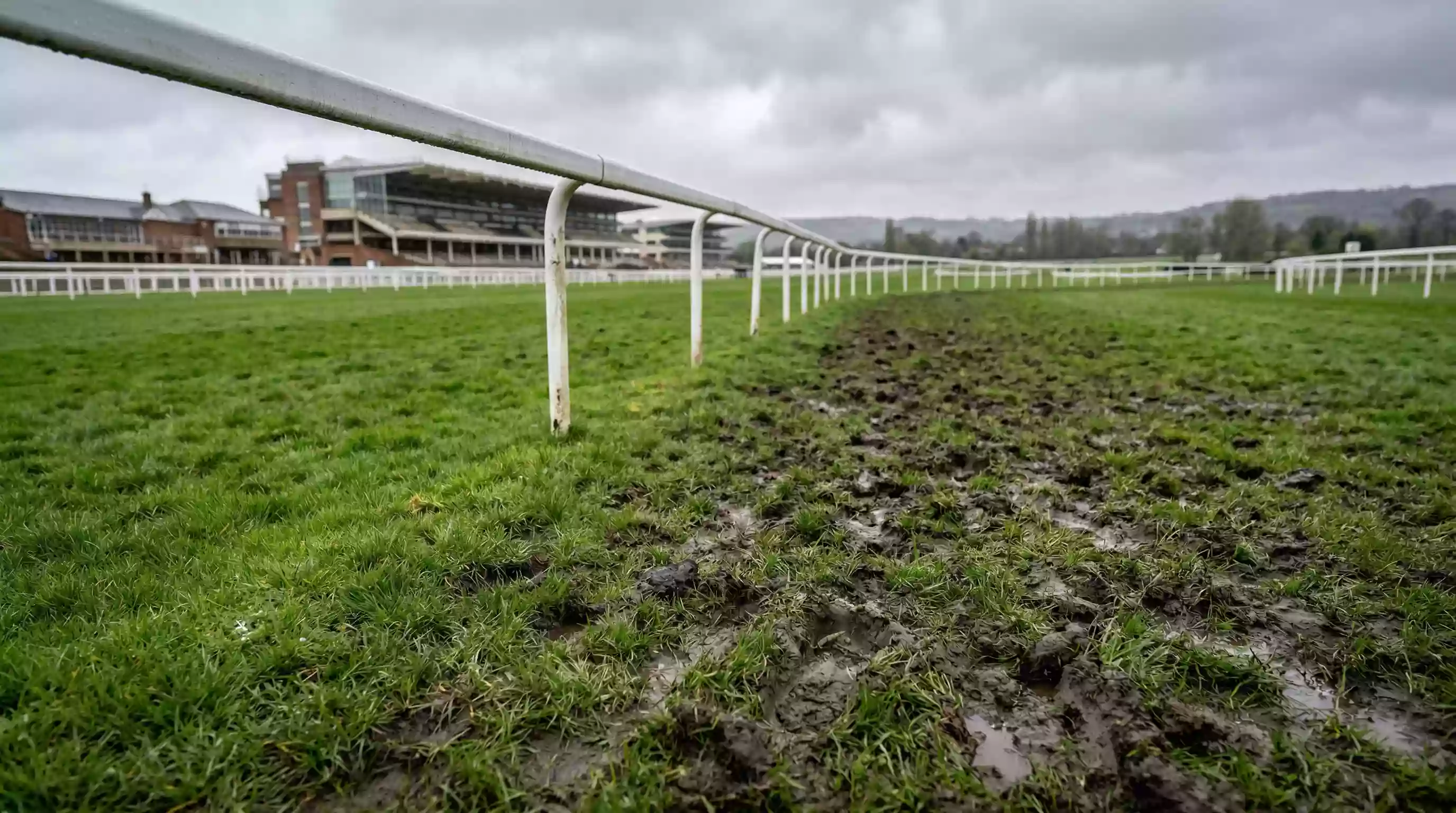Close-up of soft ground conditions on a UK turf racecourse with divots and moisture visible after rainfall